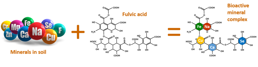 bio fulvic acid benefits