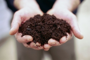 Advantages of potassium humate organic fertilizer.