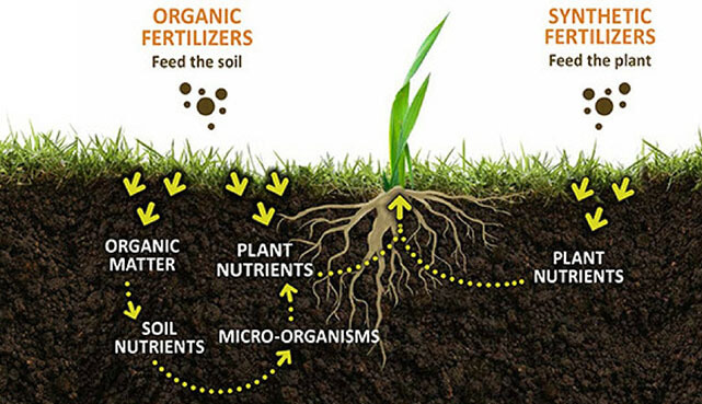 The main factors affecting fertilizer efficiency and the way.humic acid fertilizer