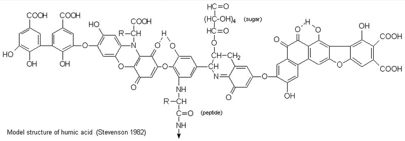 humic acid functional groups
