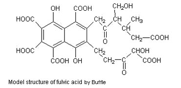 fulvic acid functional groups