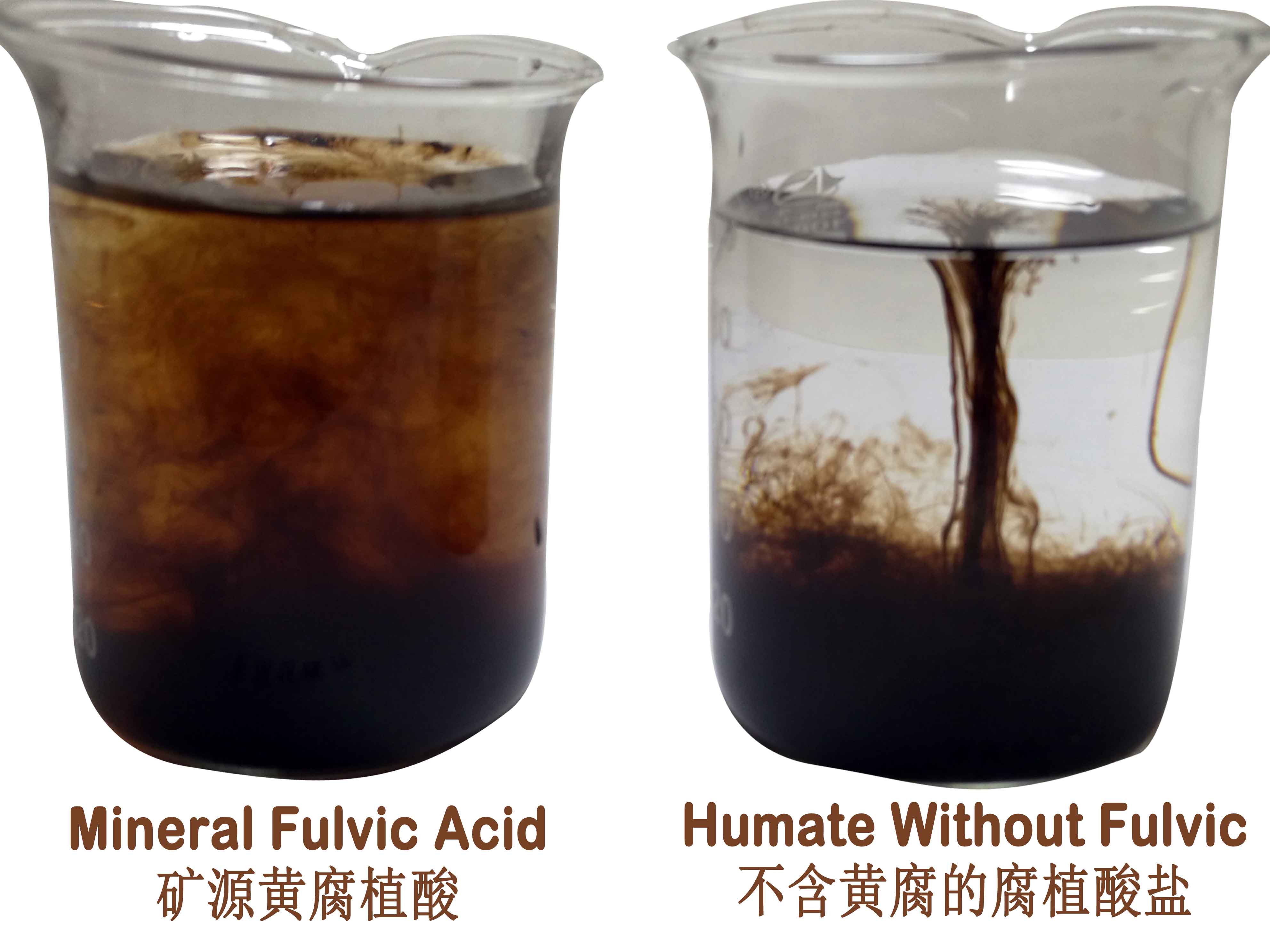 The higher the PH of humate, the better the product Can lignite without fulvic acid produce fulvic acid.