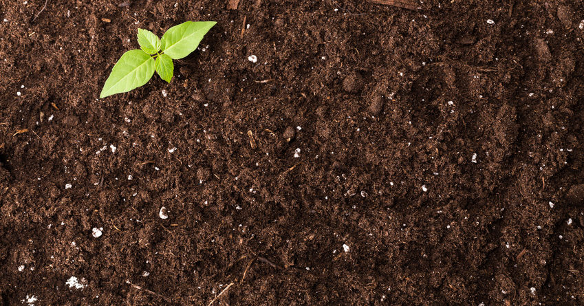 Humic acid fertilizer - the best new type of fertilizer