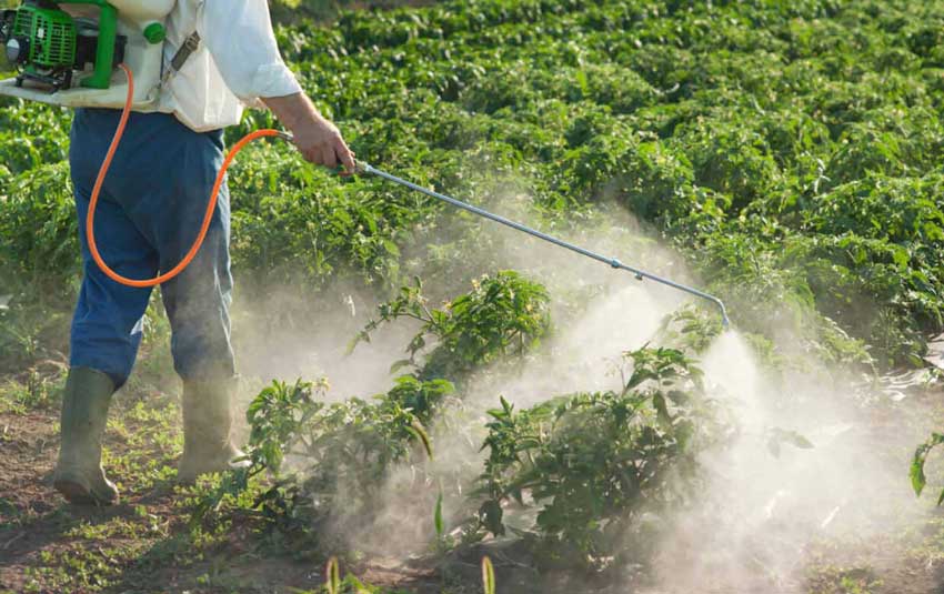 The mechanism of action of humic acid products in the field of pesticides.