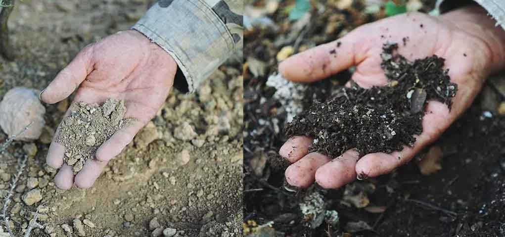 How does humic acid keep water in soil?