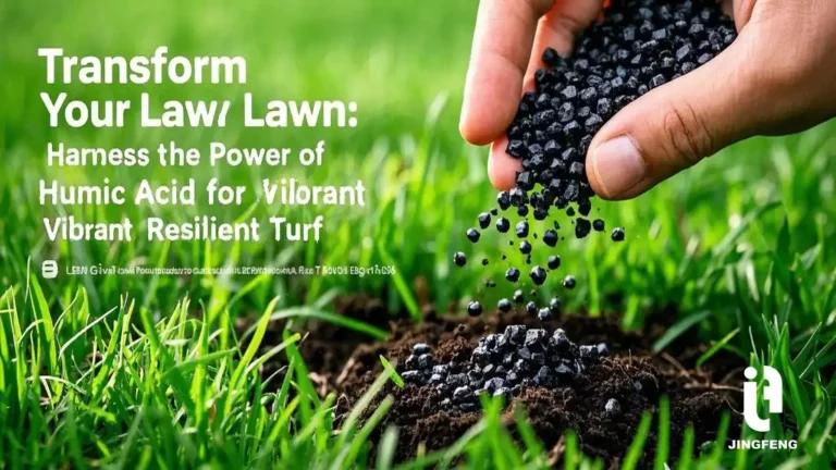 Visualize a glowing, vibrant green lawn under soft sunlight, with a close-up of humic acid granules .. Visualize a glowing, vibrant green lawn under soft sunlight, with a close-up of humic acid granules ..