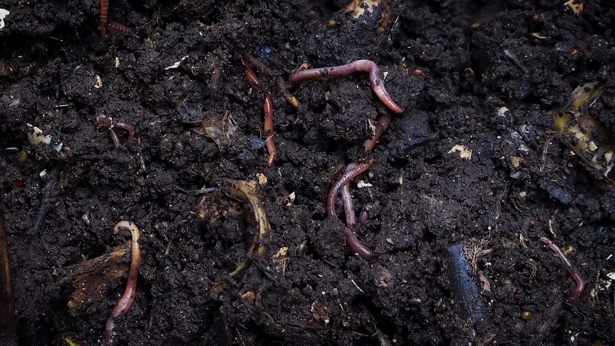 How to Select the Right Humic Acid and Humate Products for Your Agricultural Needs