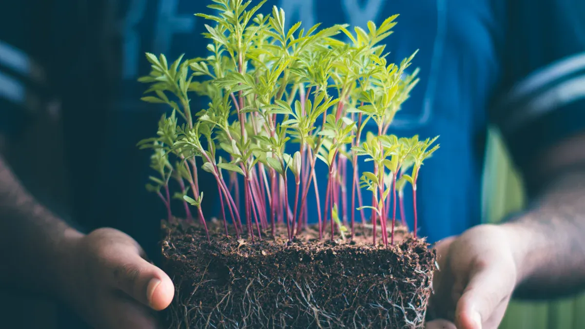 Farmer Reviews of Humic Soil Conditioner