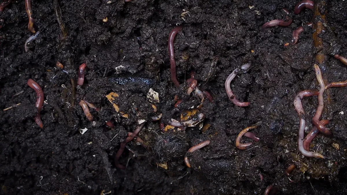Benefits of Humic Extract for Soil Health