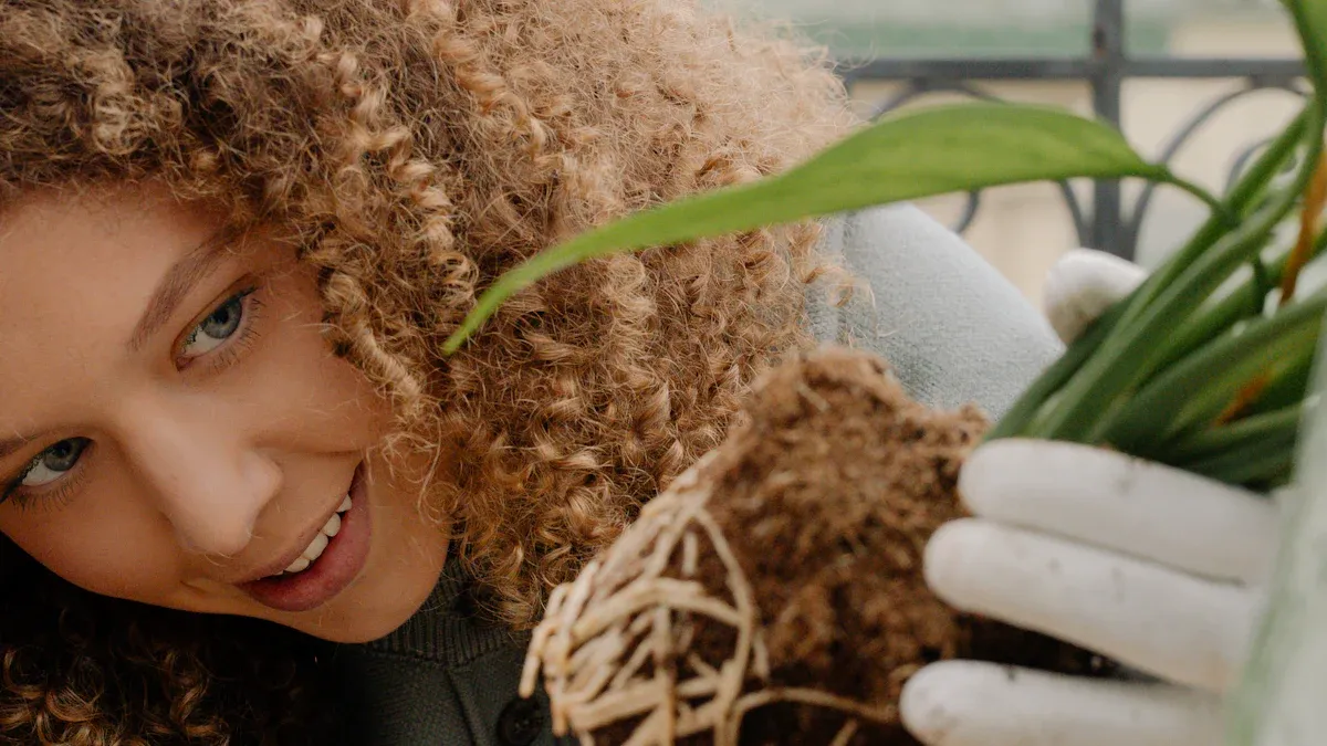 Humic Soil Benefits